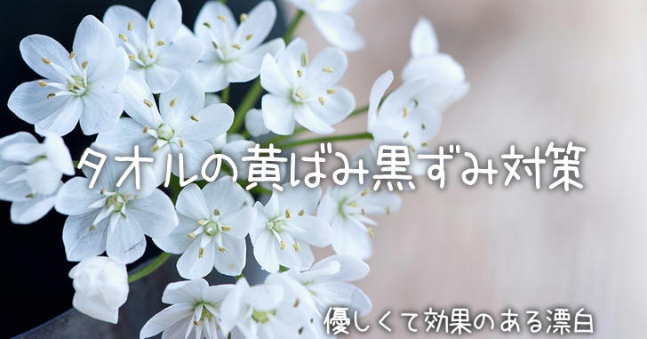 黄ばんだタオルを白くする方法 漂白or熱湯どれがいいの タオルギフトで豊かな気持ちを贈りたい タオルラボ